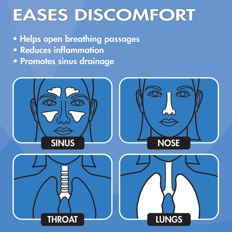 HealthWise Steam Inhaler Respiratory Vapor Therapy | Sinus Pressure, Congestion, Colds & Cough Relief | Facial Steamer, Steam Inhaler, FSA Eligible, Vaporizer or Vocal Steamer | Mask for Cleansing - BeesActive Australia