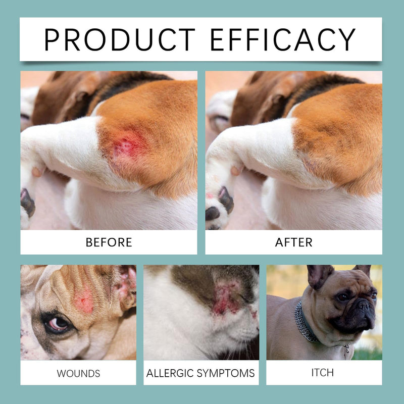 Itchy Dog Skin Relief Spray - Fast-Acting Pet Itch Treatment for Dogs & Cats Skin Ears, Soothes Allergies Bites Wounds Redness Dryness, Natural Plant Extract, Portable Skin Care Spray 100ml Castor Oil-100ml