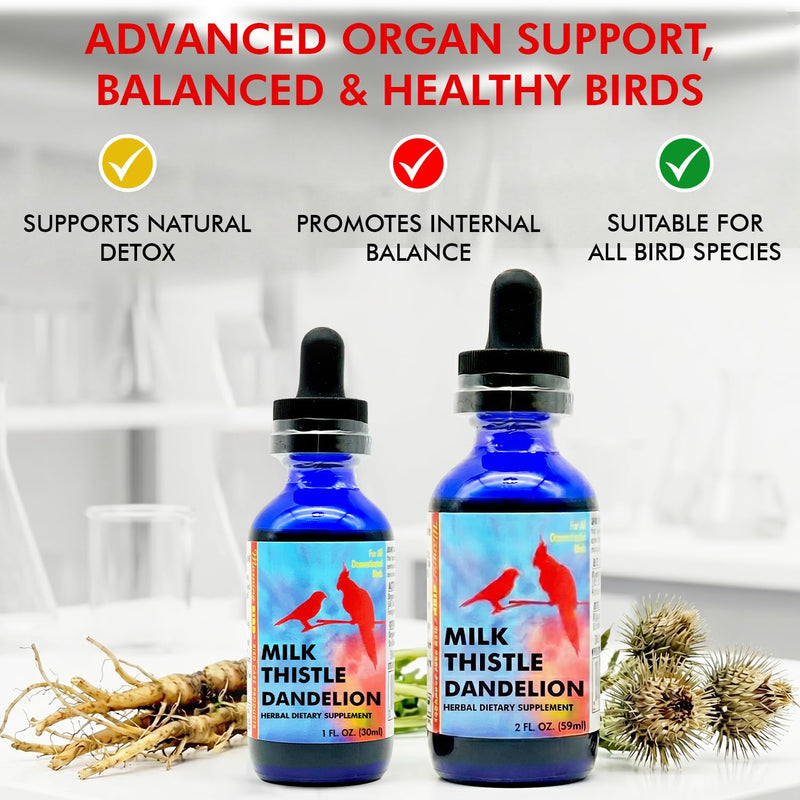 Morning Bird Milk Thistle & Dandelion Extract 1 fl oz – Organic Herbal Supplement for Birds – Supports Liver Health & Natural Detox – Suitable for All Bird Species