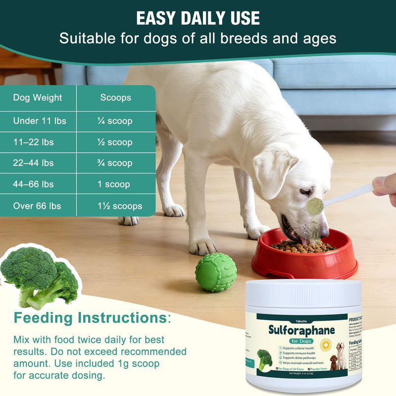 Sulforaphane Supplement for Dog, Sulforaphane Powder for Dogs, Promotes Sulforaphane Production, Cellular & Immune Function Support, Easy-to-Use Powder for Aging & Senior Dogs, 4Oz