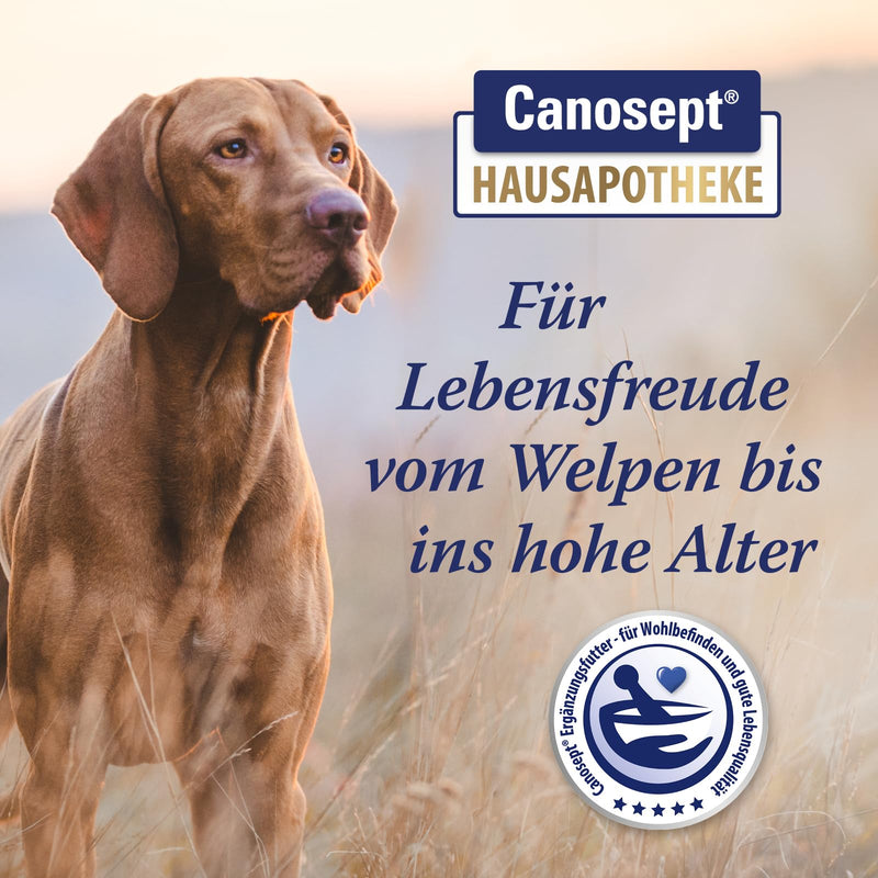 Canosept joint tablets for dogs - unique formula: with green-lipped mussel for dogs, glucosamine, Omega 3 for dogs - joint and bone protection for dogs - excellent acceptance - osteoarthritis for dogs - 80 tablets Joint tablets 80 pieces. - BeesActive Australia