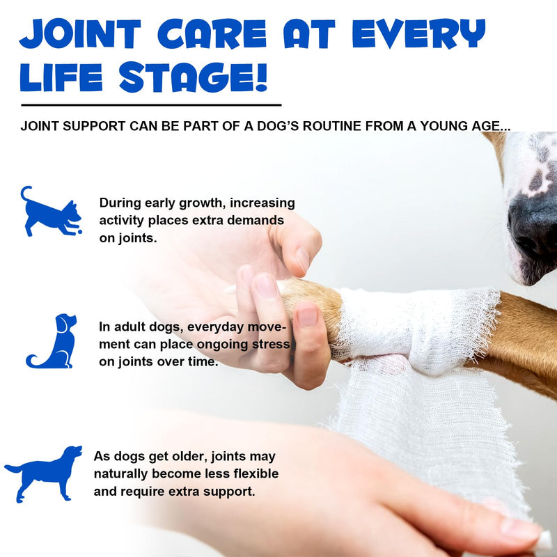 Liquid Supplement for Dogs with Glucosamine, 60ml - Support for Daily Activity & Flexibility