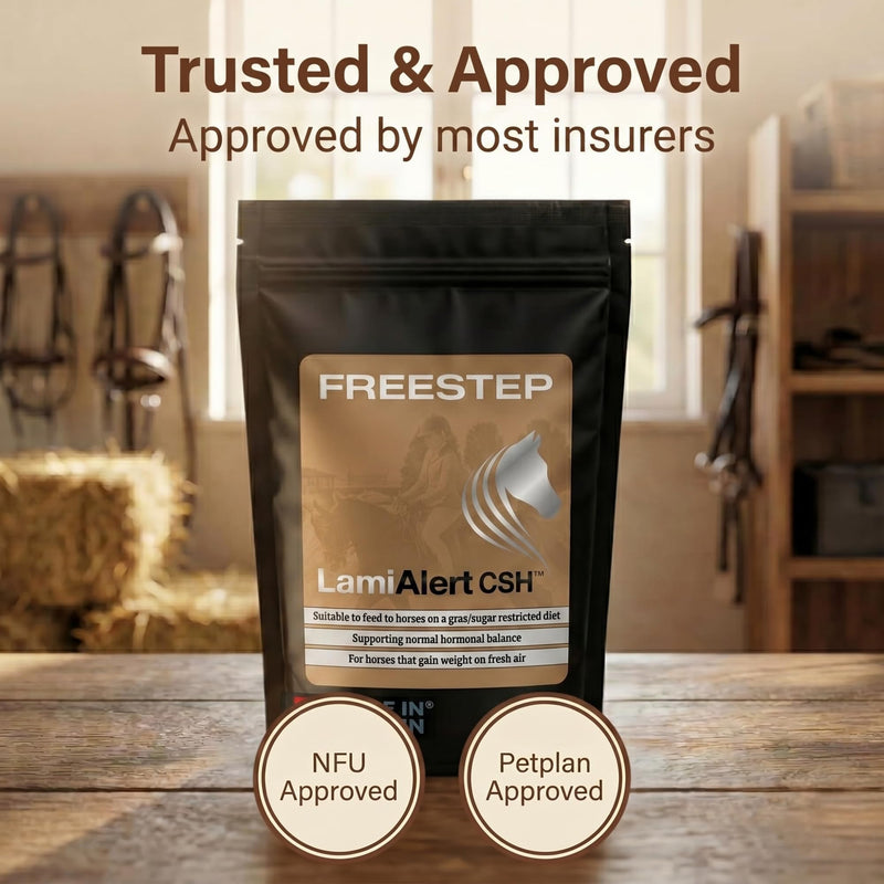 LamiAlert CSH | Natural Veteran Horse Support | Chasteberry Vitex Agnus Castus & Boswellia Powder | Senior Pony Hormonal Health Maintenance | Magnesium for Horse Grazing Management 250g | 2 Months Supply