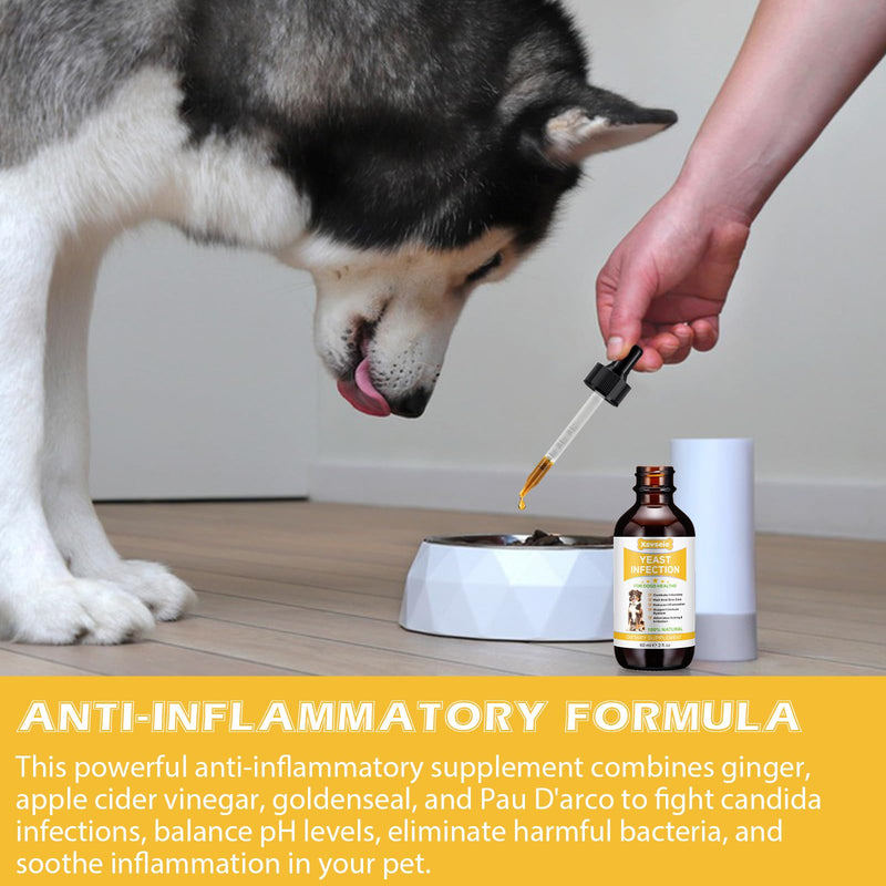Natural yeast infection treatment for dogs, dog yeast infection treatment drops, for itchy dog skin relief, allergy relief, dog yeast ear infection treatment, inflammation relief - BeesActive Australia