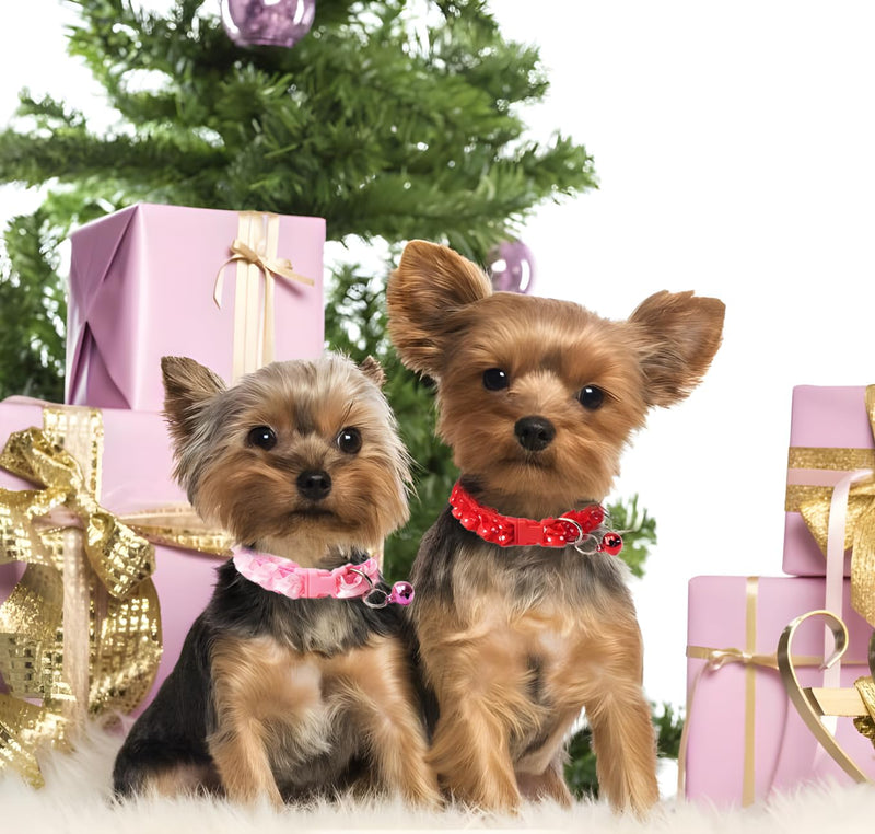Purple Dog Collar with Bell, Cute Lace Puppy Collars with Bell Adjustable Buckle for XXS XSmall Extra Small Cats Tiny Pets Male Boy Girl Female Kitten Yorkie Chihuahua Teacup X-Small Purple XS (Neck 7"-12") - BeesActive Australia