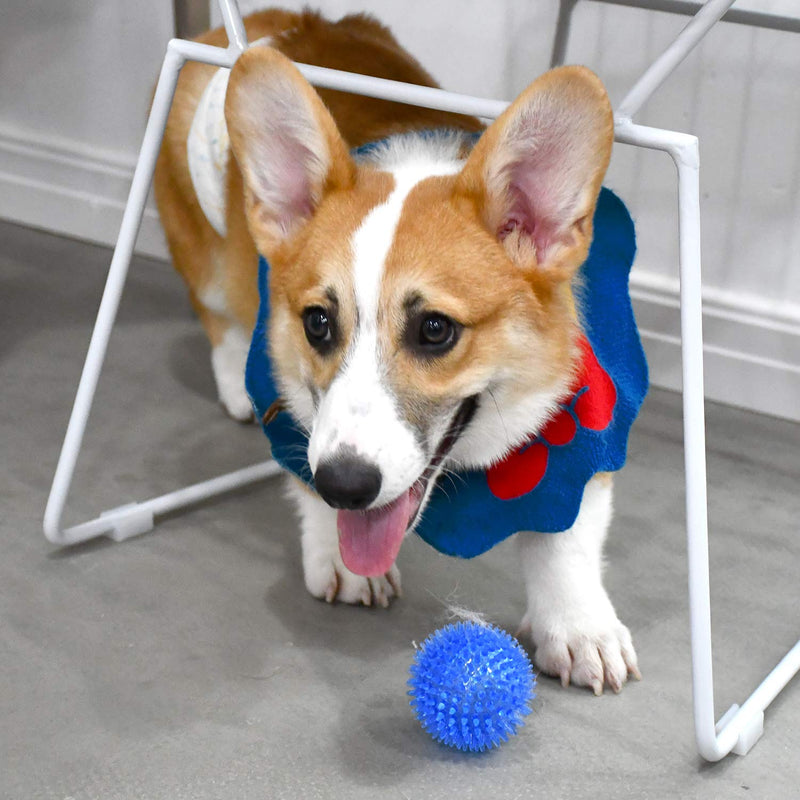 Squeaky Fetch Spike Balls TPR Toys for Pet Small Dogs Puppy Rubber 6 Pack Bright Colors Chew Teething Toys Small Set of 6 Multi - BeesActive Australia