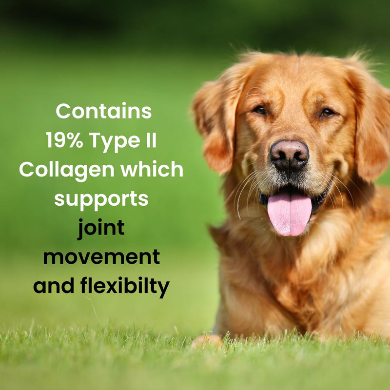 Brilliant Bone & Joint Supplement for Dogs - High Strength Calcium & Collagen Powder for Joint & Hip Support, Essential Supplement for Dog’s of All Ages - 600g