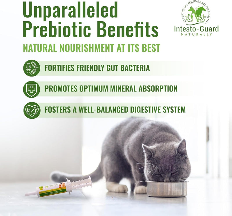 Probiotics Paste for Dogs Prebiotic for Canine, Gut Support, & Immune Boost, All Natural with 1 Billion per ML Includes (MOS)+ Beta Glucans + D-Mannose, No Animal by-Products - 30ML Single Tube 30ML Tube