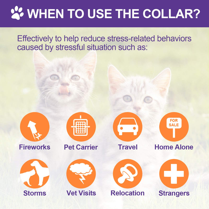 4 Pcs Calming Cats Collar Adjustable Cat Calm Collar Lavender Scent Relaxing Cat Collar with 2 Pendant for Puppies Cats Reduce Stress Aggression Anxious, up to 15 Inches (Purple, Gold) Purple, Gold - BeesActive Australia