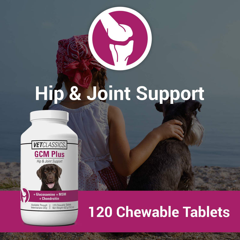 Vet Classics GCM Plus Hip & Joint Support Dog Supplement – Includes MSM, Chondroitin, Glucosamine – Supports Healthy Joints, Flexible Hips in Dogs – Chewable Tablets 120 Ct. - BeesActive Australia