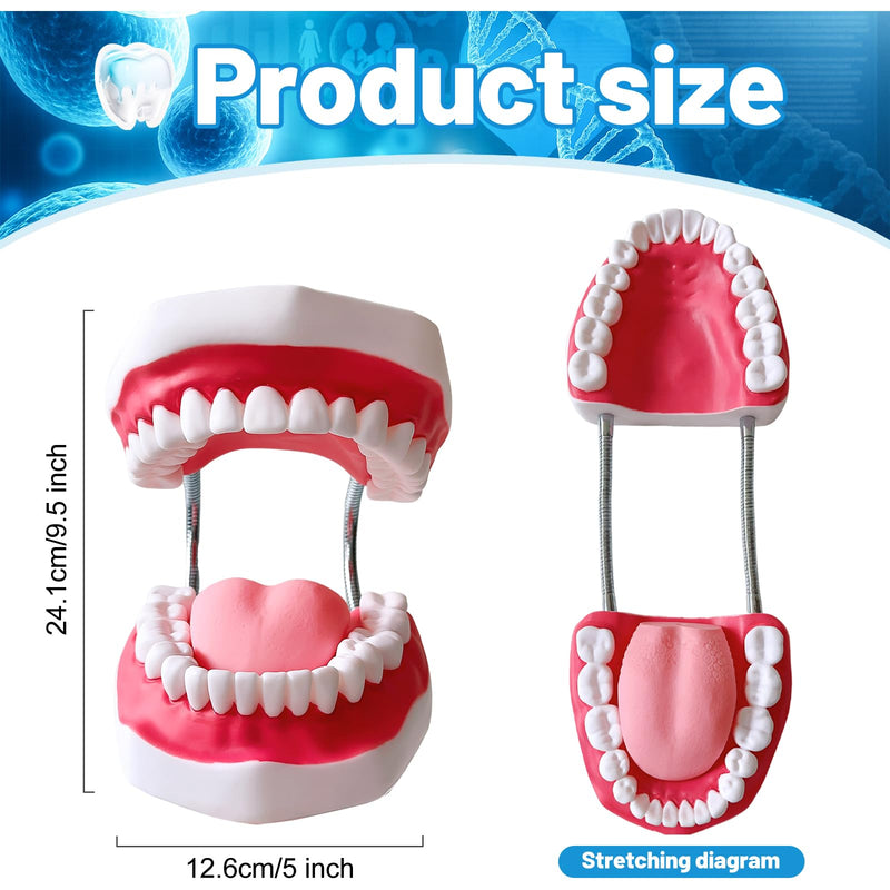 Teeth Mouth Model 6X Enlarged with Metal Hinge, Complete Set Teeth and Removable Tongue, PVC Speech Therapy Tool, Includes Toothbrush, Ideal for Brushing Teaching Dental Model and Language Education - BeesActive Australia