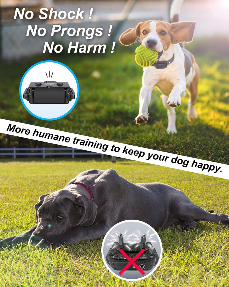 No Shock Dog Training Collar with Remote, Dog Vibration Collar with Controller Beep and Vibrate Only, Safe Lock Waterproof Rechargeable Vibrating Collars for Dogs(10-120 lbs)-No Prongs (Black) Black - BeesActive Australia