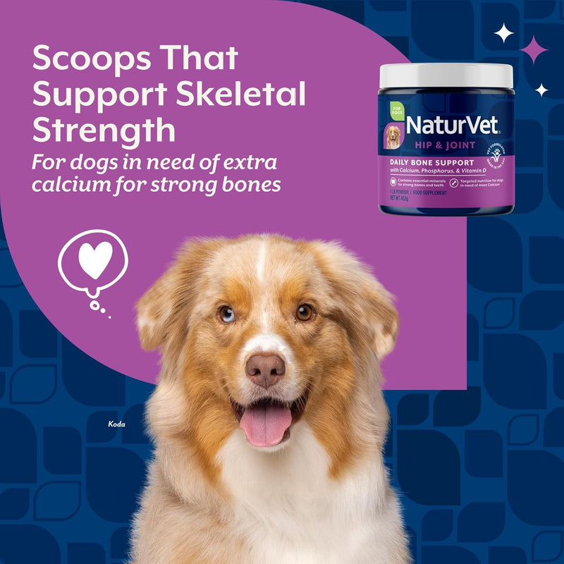 NaturVet Calcium-Phosphorus For Dogs, Supports Strong & Healthy Bones, Enhanced with Essential Minerals & Vitamin D, No Color, 16 Oz - BeesActive Australia