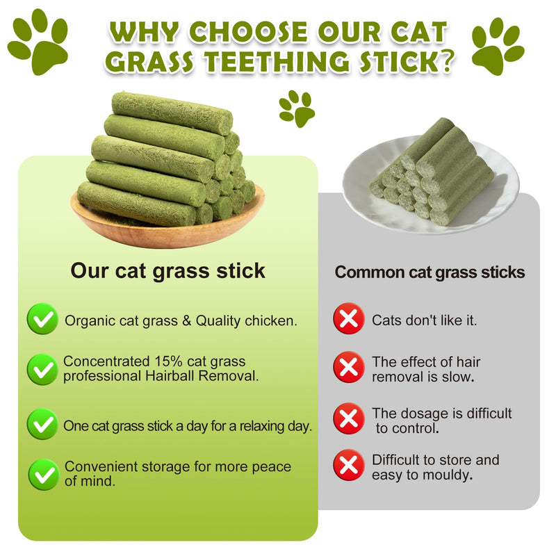 Freeze Dried Cat Grass Dental Sticks – Natural Teething Treats for Teeth Cleaning, Hairball Control & Digestion, Grain-Free Crunchy Snack (80g) Cat Grass Sticks (80g)