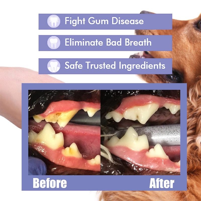 JoanofArc Dog Dental Care Spray, Pet Oral Spray, Breath Freshener & Teeth Cleaning Spray, Oral Spray Bad Breath, Reduce Plaque & Tartar, No Brushing Required Teeth Treatment Spray, 1.01 Fl Oz