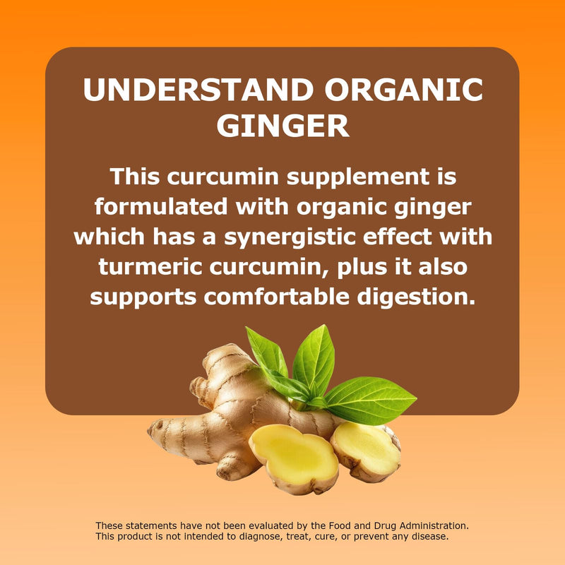 1pcsBio Root Labs Turmerc Curcumin Supplement, BioRoot Labs Tumeric Curcumin 1,00omg - 95% Curcuminoids wth Black Pepper & Ginger,Fat Soluble Vitamin C,Enhanced Absorption,120 Capsules (1PCS) 1pcs