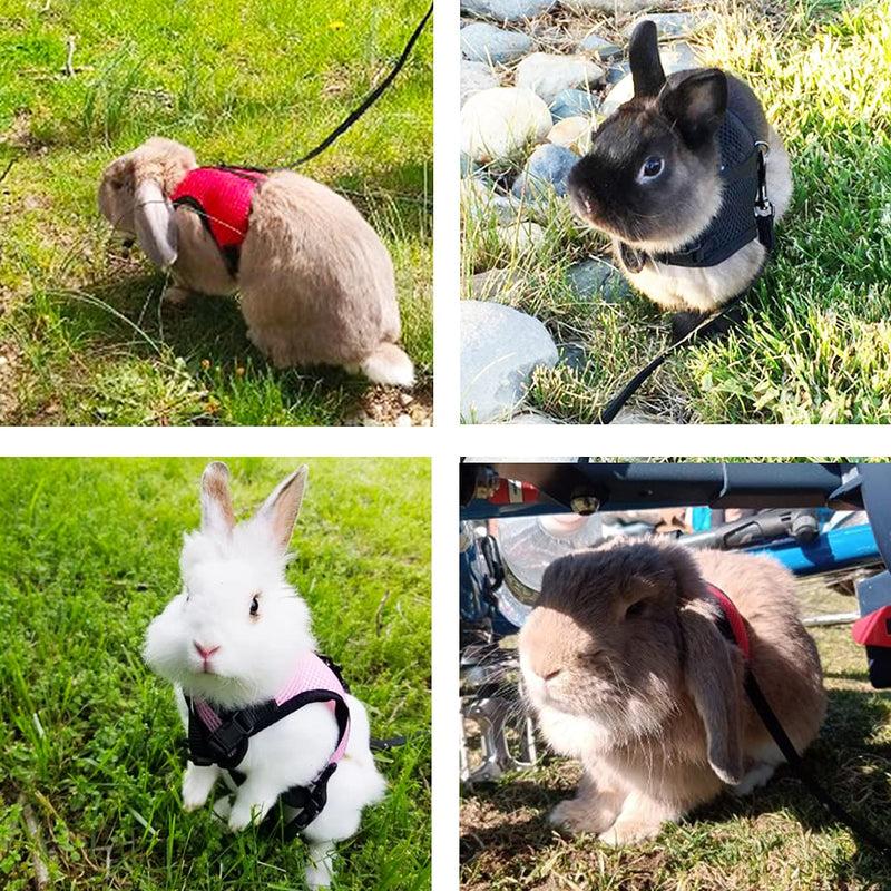 Pettom Bunny Rabbit Harness with Stretchy Leash Cute Adjustable Buckle Breathable Mesh Vest for Kitten Small Pets Walking (L(Chest:10.6-13.3 in), Blue) L(Chest:10.6-13.3 in) - BeesActive Australia