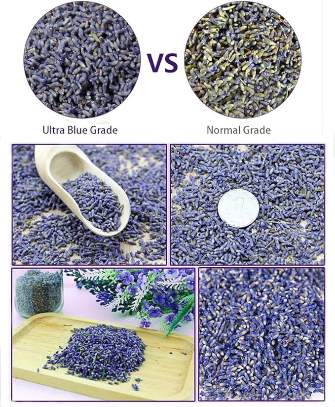 TooGet Lavender Sachet Bag, Natural Ultra Blue Lavender Bud for Home Fragrance, Room Decoration, Fresh Lavender Scented Sachets - 6PCS - BeesActive Australia