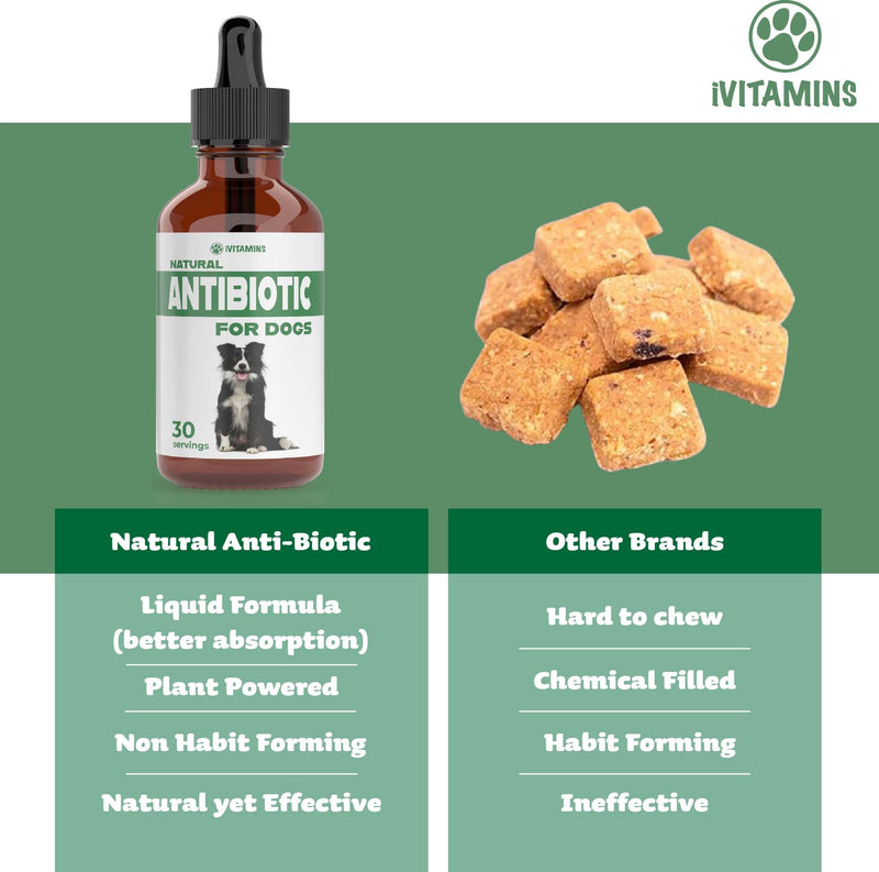 Natural Dog Antibiotics - Antibiotics for Dogs - Antibiotic for Dog - Yeast Infection Treatment for Dogs - Dog Yeast Infection Treatment - Itch Relief for Dogs - 1 fl oz - Bacon Flavor - PawsPlanet Australia