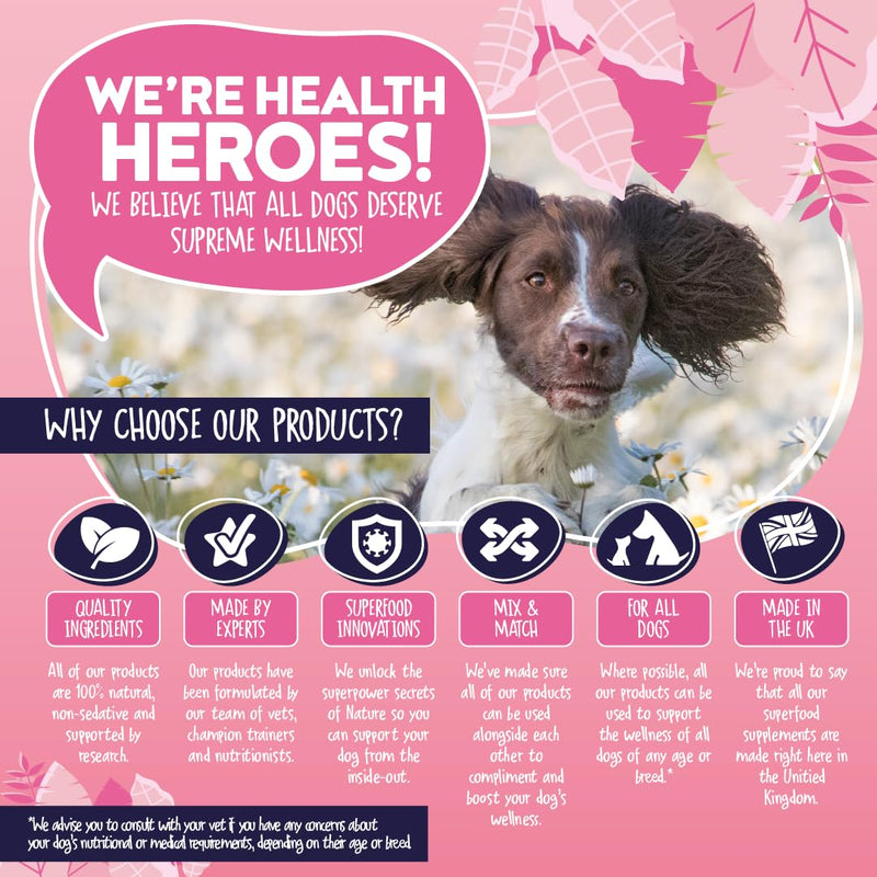 Probio-K9 Digestive Supplement + Probiotic Paste for Dogs | Daily Gut Health, Digestive & Tummy Support | Probiotics, Prebiotics & Stool Forming Fibres | Upset Stomach & Firm Stool Support | UK Short
