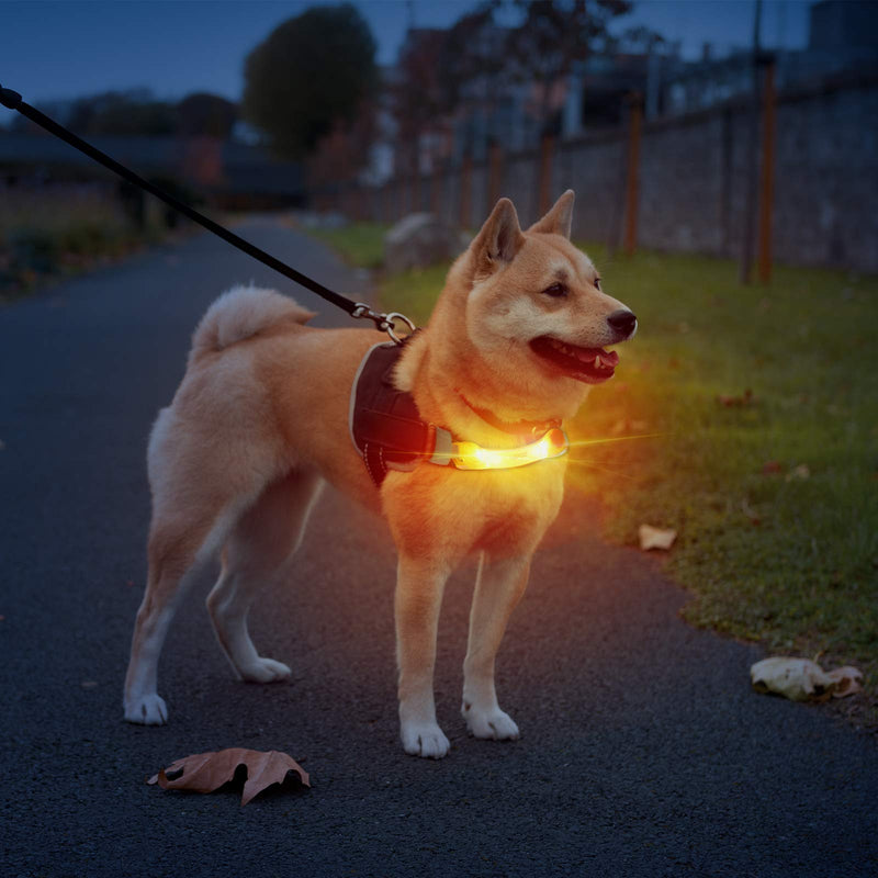 LaRoo Safety LED light band for dogs and cats, LED light flashing light with Velcro fastener, easy to attach to collar, leash and harness, waterproof, bright, outdoor sports, orange - BeesActive Australia