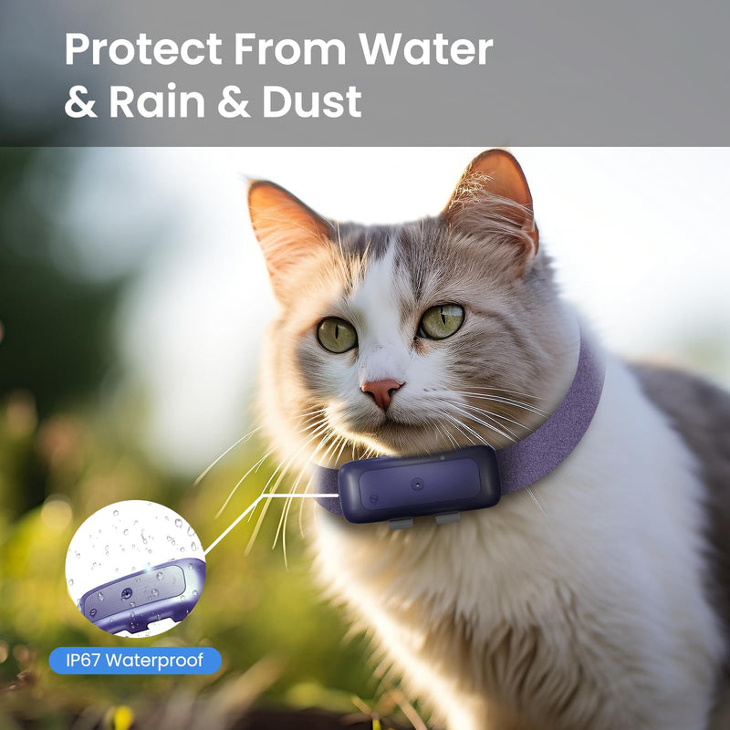 P1 GPS Dog Cat(6.5 lbs+) Tracker - Pet GPS Location Tracker for Anti Lost No Distance Limited, Waterproof, Real Time Tracking & Smart Activity, Fit All Pet Collars, Blue - BeesActive Australia