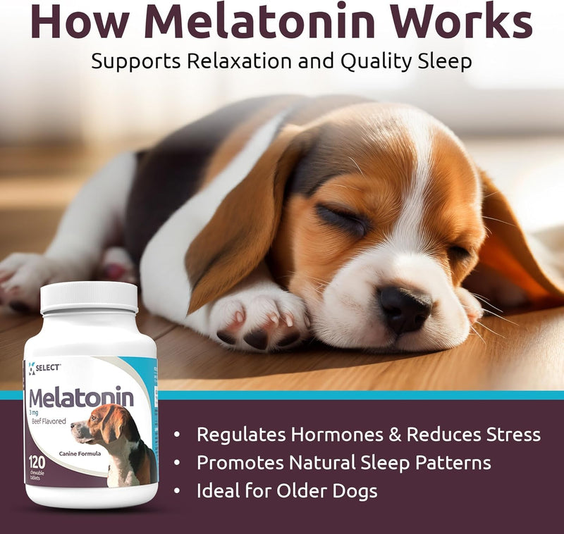 Prime Melatonin for Dogs - Composure Dog Calming Chews - 3 mg, 120 Beef Flavored Chewable Tablets - Reduce Stress and Sleep Aid for Dogs