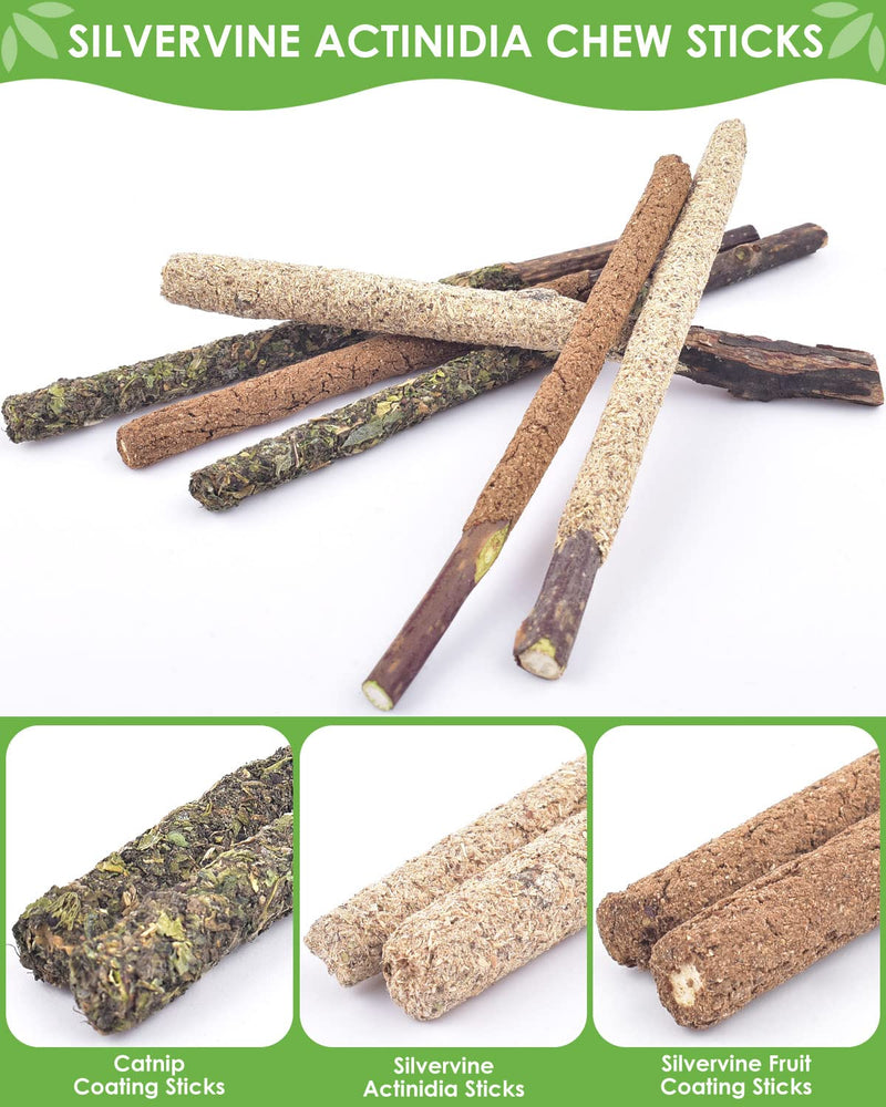 TINDTOP Catnip Chew Toys for Cats, 12 Pack Natural Silvervine Sticks for Kittens Teeth Cleaning, Matatabi Dental Care, Increase Appetite, Calm Cat Anxiety and Stress, Aggressive Chewers Cat Dental Toy - BeesActive Australia