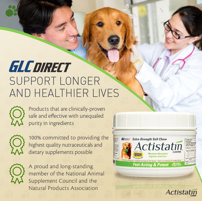 Canine Large Dog Soft Chews, 60ct – Patented Extra-Strength Joint, Cartilage, Soft Tissue Supplement: Glucosamine, Chondroitin, Manganese, MSM, L-Carnitine – High Absorption, Fast Results 60 Soft Chews - BeesActive Australia