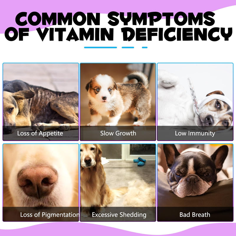 15 in 1 Multivitamin for Dogs, 60ML Natural Daily Vitamins for Joint, Skin Coat, Skin Health, Heart Health for Small, for Medium and Large Dogs
