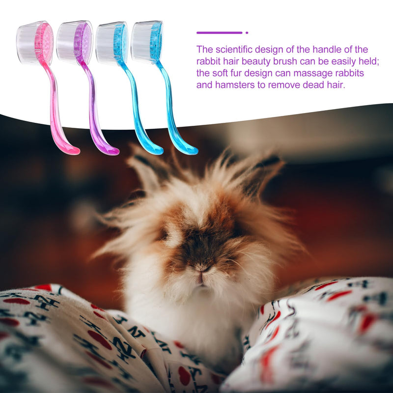 4pcs Pet Hair Comb Hamster Hair Grooming Cleaning Pet Animal Bathing for Guinea Pig Chinchilla Ferret (Random Color) Cleaning Tool - BeesActive Australia