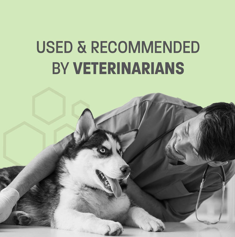 Cucumber Melon Scented Dog Deodorizing Spray for Dogs and Cats - Long Lasting Pet Cologne and Deodorizer - 8 oz Cucumber Melon - PawsPlanet Australia