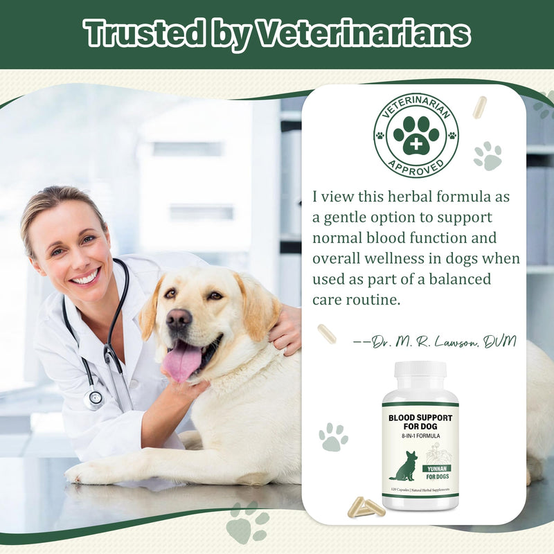 Yunnan Sanqi Herbal Capsules for Dogs – Daily Circulation & Vitality Support, 120 Capsules