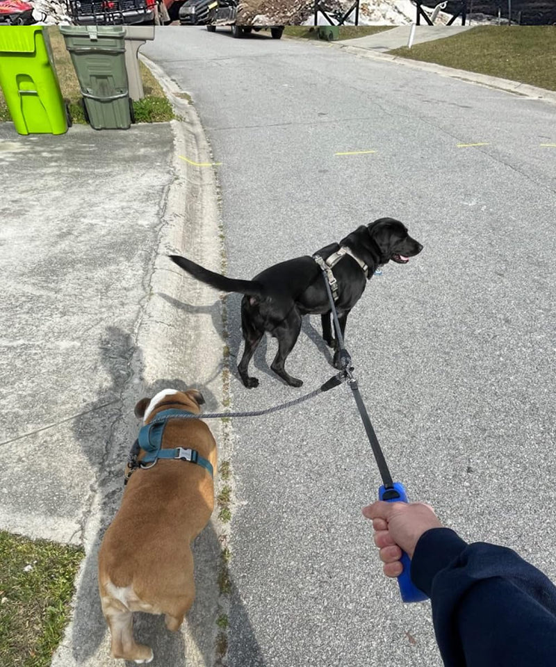 Double Dog Leash Coupler, Tandem Leash for Two Dogs, No Tangle 360° Swivel Rotation Dual Strong Dog Leash Splitter, for Large Medium Small Dogs (33 inch- Large) Black Large (1/2"D x 33"L) - BeesActive Australia
