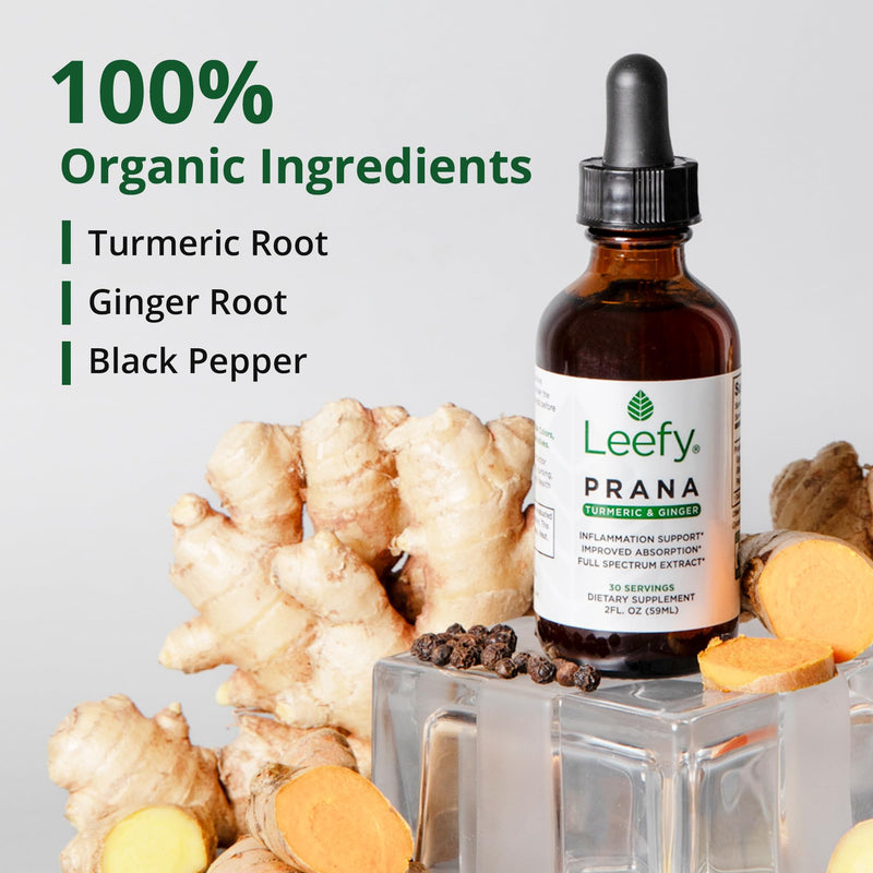 Leefy Organics PRANA - The Original Organic Liquid Turmeric Curcumin and Ginger Extract with Black Pepper | Supplement to Support Heart, Brain, Joint Health, Inflammatory Response, Immunity, Drops - BeesActive Australia