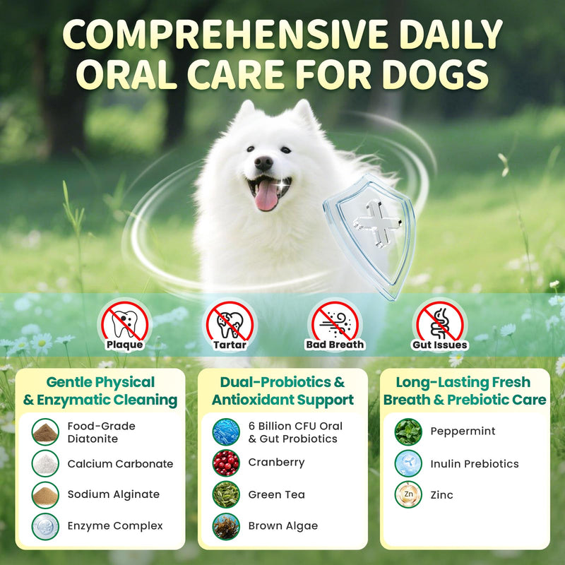 Dog Dental Powder – Teeth Cleaning Powder with 6B CFU Probiotics, Enzymes & Antioxidants, Plaque & Tartar Off, Fresh Breath Support, 75 Days, Mint Chicken Flavor, No Brushing Oral Care 5.29 Ounce (Pack of 1)