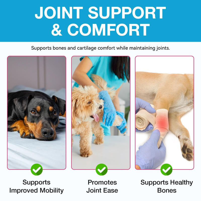 Joint Supplements for Dogs, Pain Relief for Dogs, Dog Joint Supplements for Senior Dogs, Chondroitin Drops for Dogs, Hip & Joint Glucosamine Drops for Dogs, Mobility Pain Relief, Natural Formula, 60ML