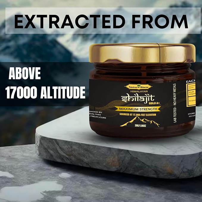 Nature Blaze Himalayan Shilajit Resin (30 Gm / 1.0 Oz) - BeesActive Australia