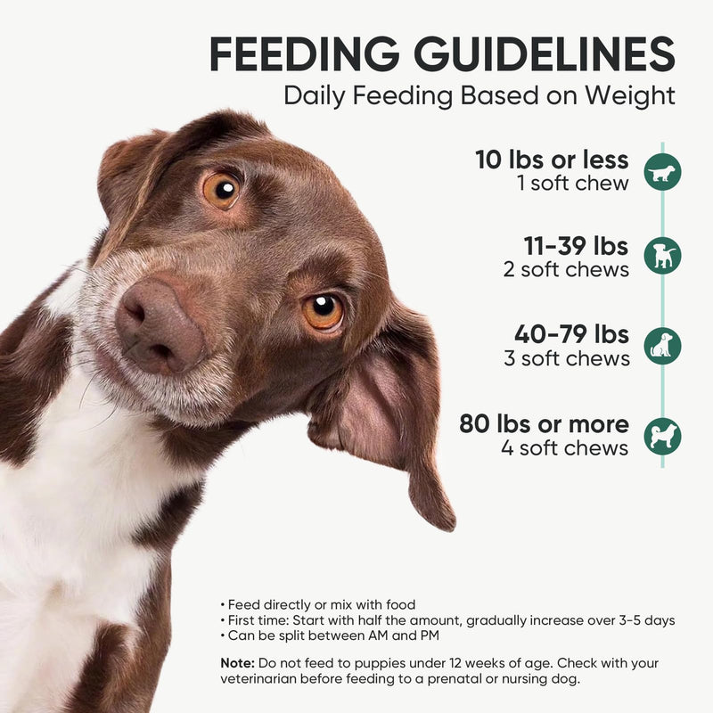 Probiotics for Dogs Gut Digestive Health Probiotic Chews for Dogs Digestive Enzymes Relieve Diarrhea Immunity Oral Problems Itching Constipation Prebiotics Dog Probiotics 200 Ct Chicken