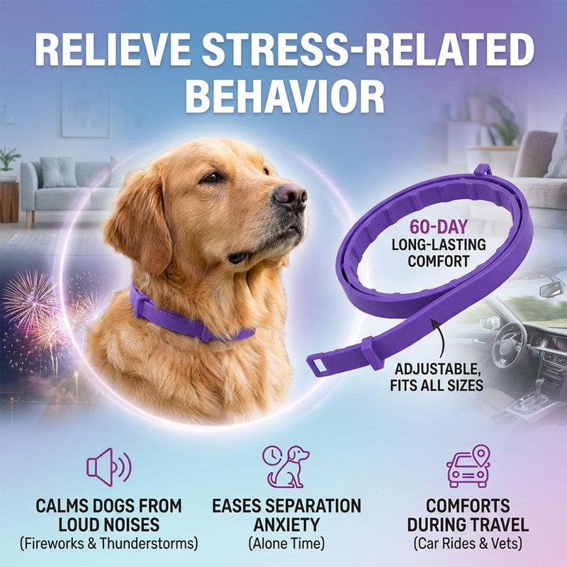 Calming Collar for Dogs, Dog Collar 60-Day Adjustable Calming Collars for Small Medium Large Dogs, 24.5 Inch Comfort Fit Collar 4PCS (Gray) Gray