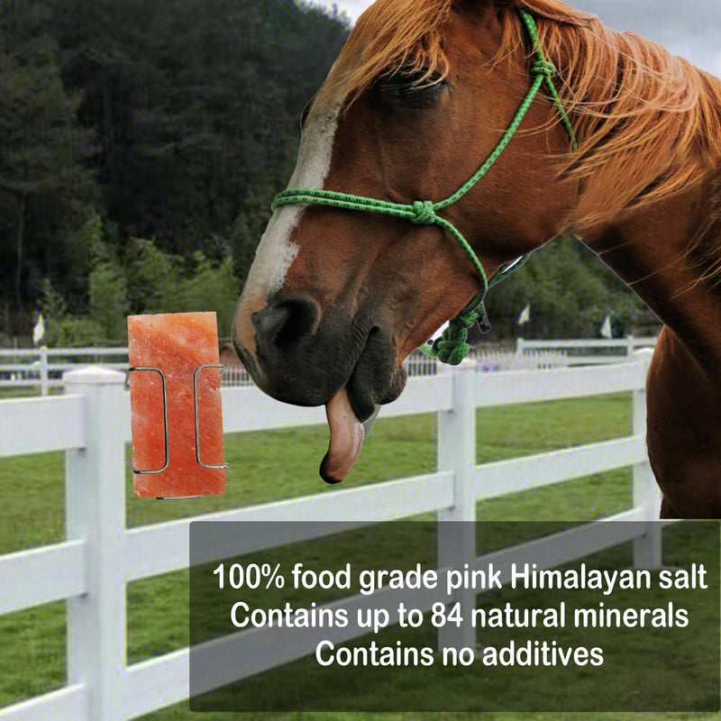 kathson Himalayan Salt Blocks for Horses Animal Salt Lick Brick Natural Mineral Pink Salt Licks for Horse Deer Cattle Sheep and Other Livestock (1 Pcs | 8 x 4 x1 Inches) - PawsPlanet Australia