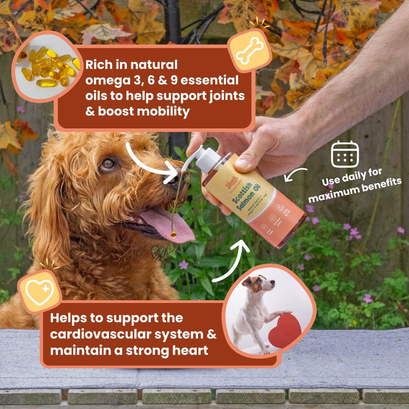 YEARS Salmon Oil for Dogs | Soothes Itchy Skin, Supports Stiff Joints & Promotes a Glossy Coat | Pure Scottish Fish Oil | Omega 3 6 9 | Natural Dog Supplement UK | 250ml 1 x Salmon Oil (250ml)