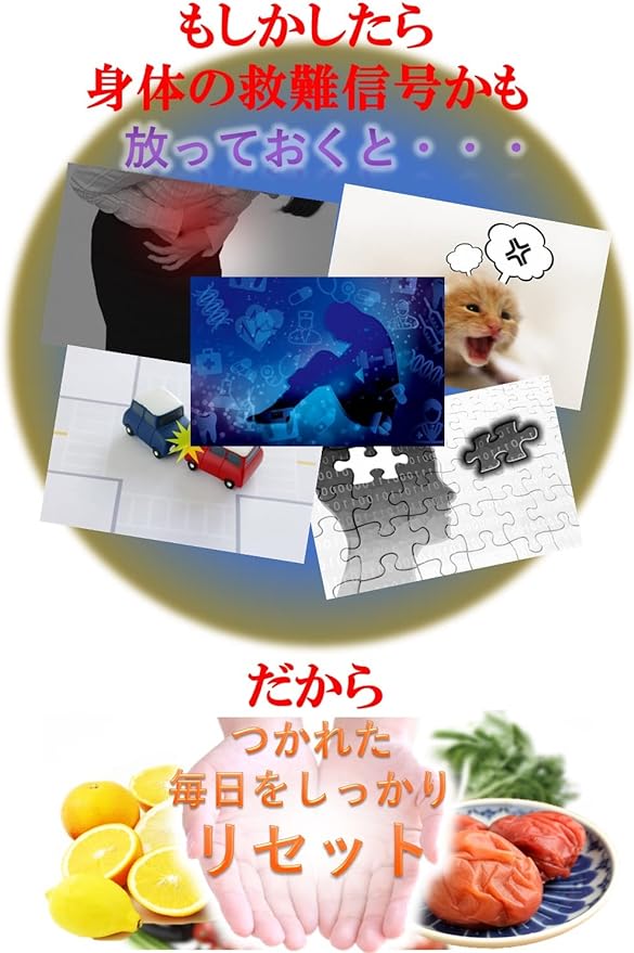 Easy-to-use powder 170g citric acid supplement [Instruction included] TRAUM (Set of 5 bags) - BeesActive Australia