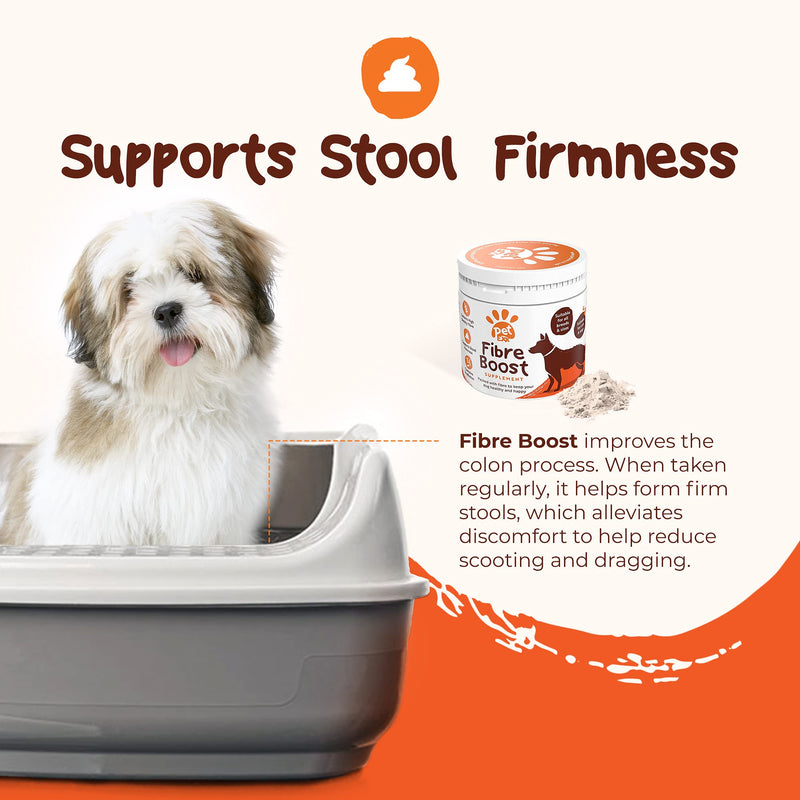 Fibre Boost Anal Gland Digestion Supplement - Stop you pet scooting with our Probiotic Support for Dogs & Cats with Fibre, Pro & Prebiotics – for Dog Gut Health - Gluten-Free powder 225g powder