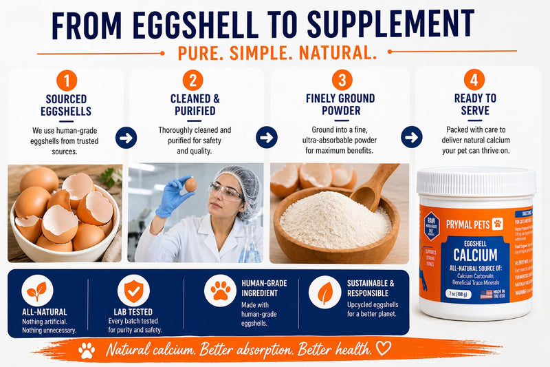 Eggshell Calcium for Pets - 7 oz. Natural, Ultra-Pure Egg Shell Mineral Powder Supplement for Cats and Dogs - High Absorption, Helps Support Bone, Joint, Teeth, Heart, Immune Health Regular ESC 7oz