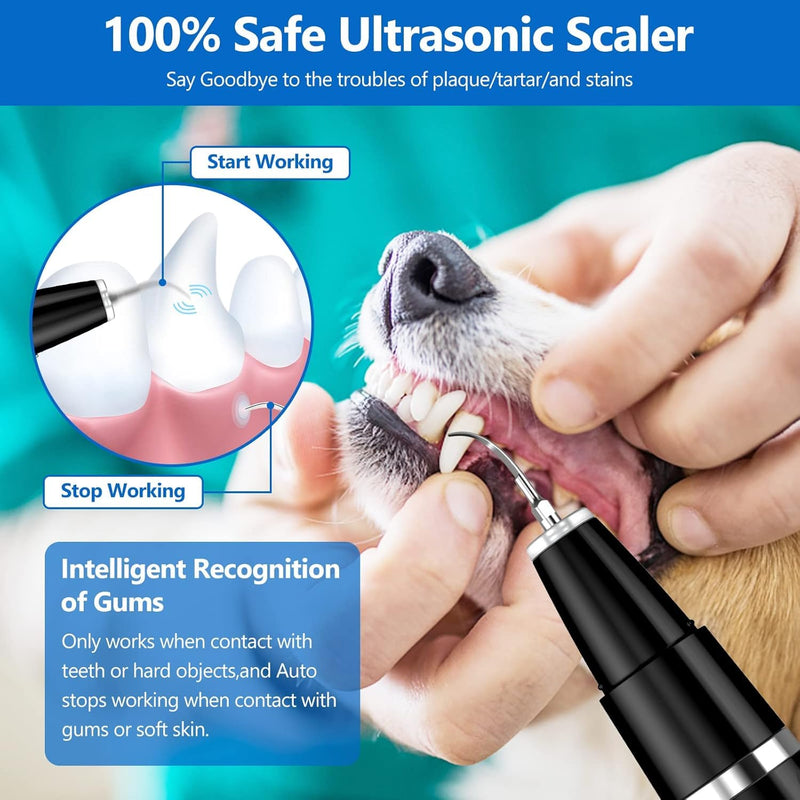 Ni-SHEN Plaque Remover for Teeth - Pet Ultrasonic Cleaner - Teeth Cleaning Kit for Tartar and Stains - Suitable for Dogs and Cats (Black) Black