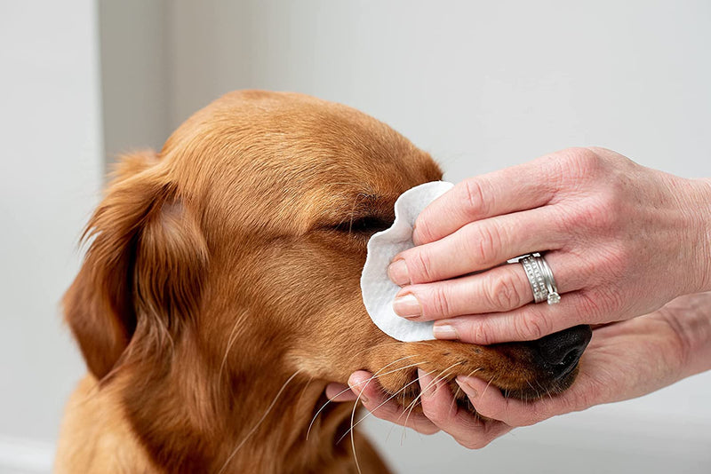 pet wiz Vet Approved | 240 Extra Large Natural Eye Wipes | Gentle & Soothing 2 Tubs (240 Wipes)