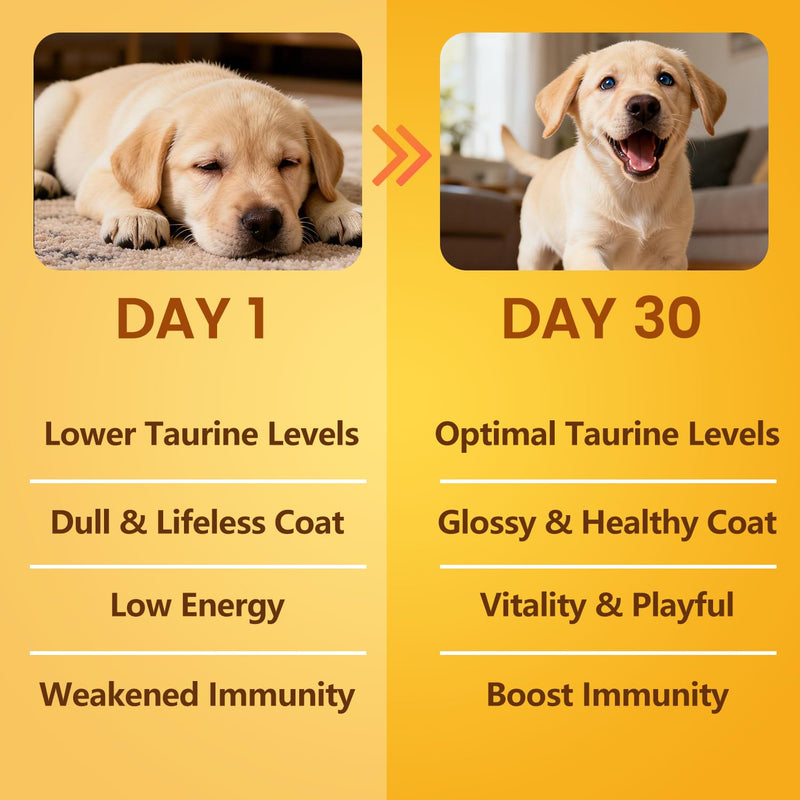 Pure Taurine for Dogs Taurine Powder Supplement for Pet Puppy 500mg Unflavored Easy-to-Mix Taurine Supplement for Doggy Supports Immune Heart Vision Skin & Coat Vitality Made in USA 200 Grams