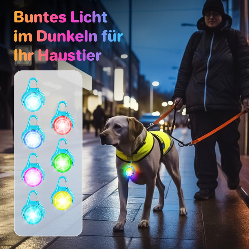 Dokkita light pendant dog rechargeable (RGB color changing dog light and 4 flashing modes), dog light LED rechargeable, LED flashing light school bag safety light USB rechargeable blue - BeesActive Australia