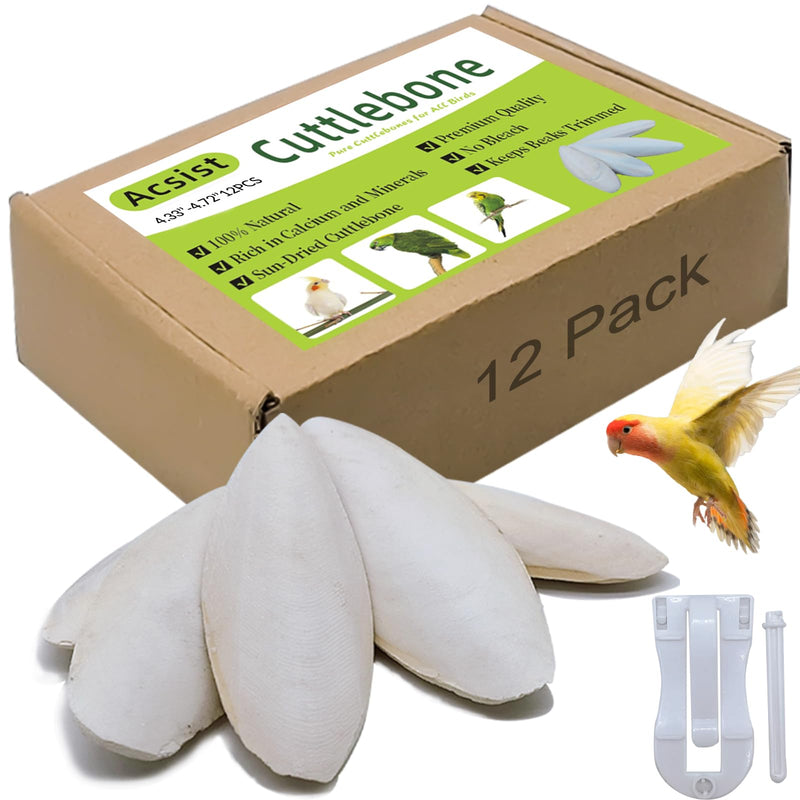 4.3"-4.7" Cuttlebone for Birds,Parakeets Cuddle Bone Beak Trimming,Premium Calcium Natural Cuttlefish Bone for Parrot,Cockatiel,Budgie,Tortoise, Snails,Reptiles,12 Pcs 12 Pcs (4.3"-4.7")